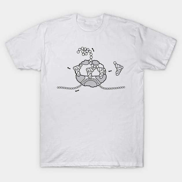 Ribosome Cross Section Microbiology Line Drawing T-Shirt by taylorcustom